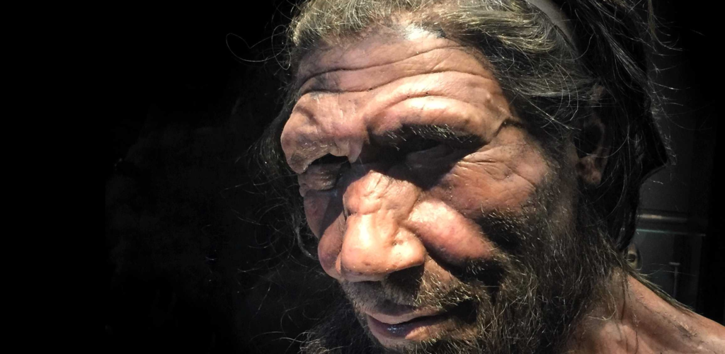 ДНК неандертальцев указала  на раннее скрещивание с людьми