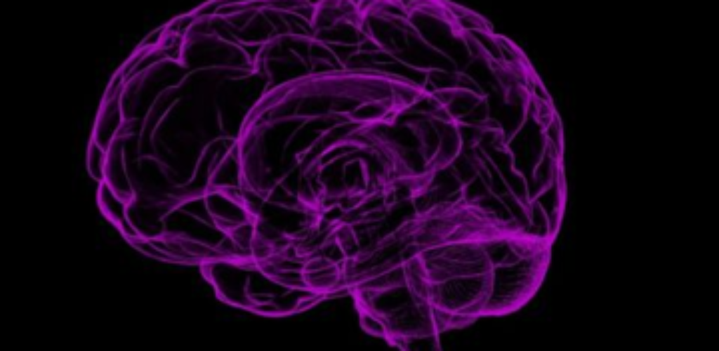 Ученые увидели, как «выглядит» грусть в человеческом мозге