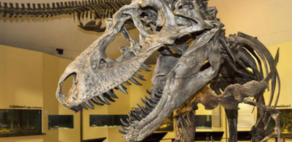 Ученые узнали, как выглядели «морские чудовища» времен динозавров