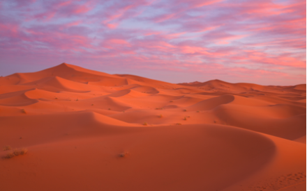 Сахара – самая большая пустыня планеты