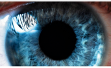 Как глаукома приводит к необратимой слепоте