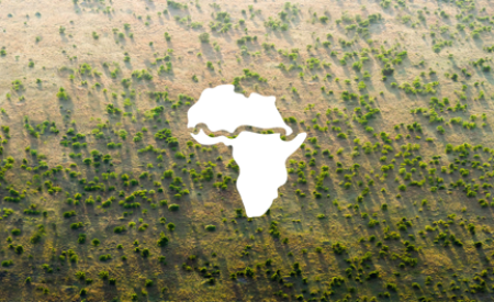 «Великая зеленая стена»: Африка vs Сахары