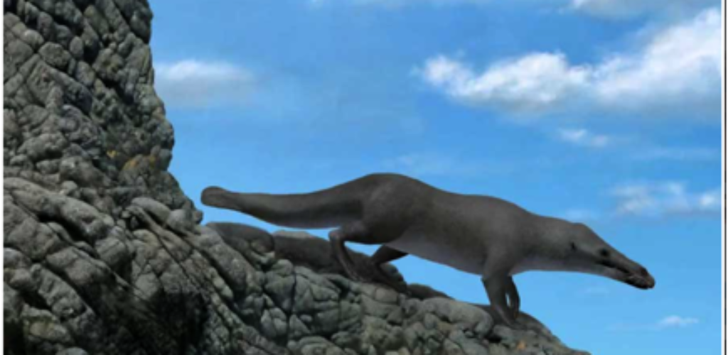 Палеонтологи обнаружили останки древнего четвероногого кита