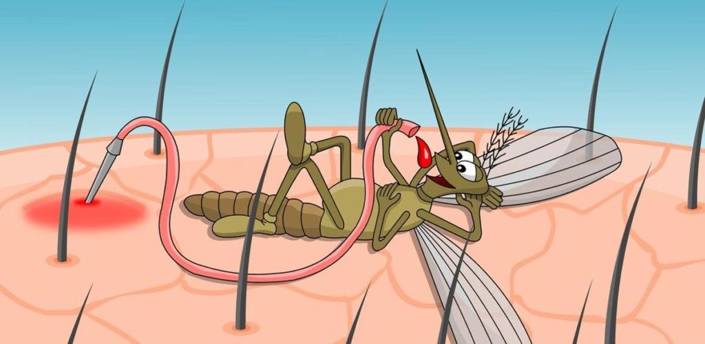 Почему именно вас выбирают комары