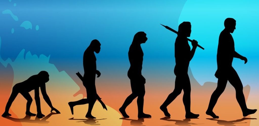 10 признаков эволюции человека