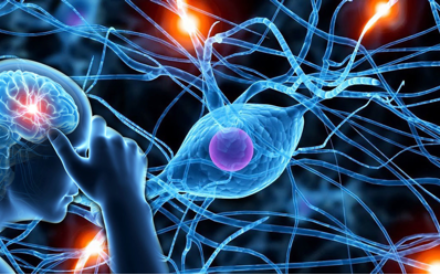 Нейробиология: как настроить мозг на успех