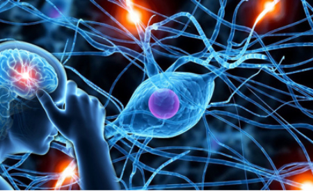 Нейробиология: как настроить мозг на успех
