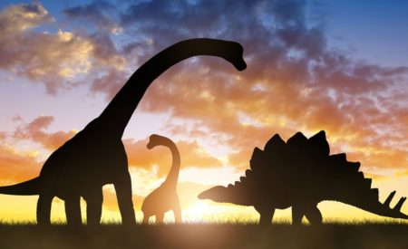 Сколько длился день и год во времена динозавров
