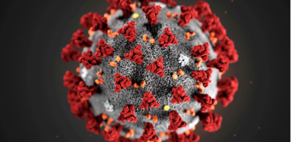 Как придумали знаменитое изображение коронавируса