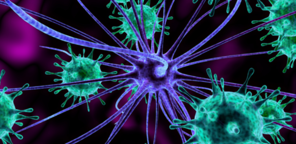 Как вирусы взламывают наши клетки (фото)