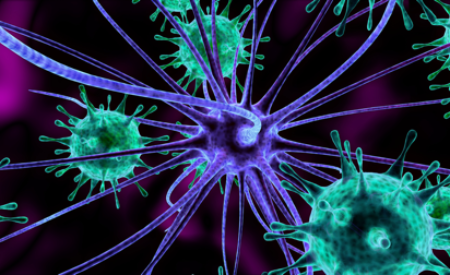 Как вирусы взламывают наши клетки (фото)