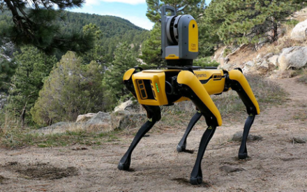Роботы-собаки начали контролировать дистанцию между людьми