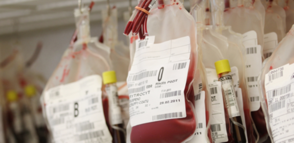 Банк крови: изобретение, спасшее человечество