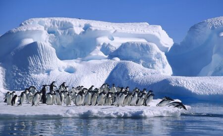 Глубокая тайна: что скрывается подо льдами Антарктиды