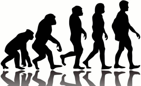 Как прямая ходьба повлияла на эволюцию человека