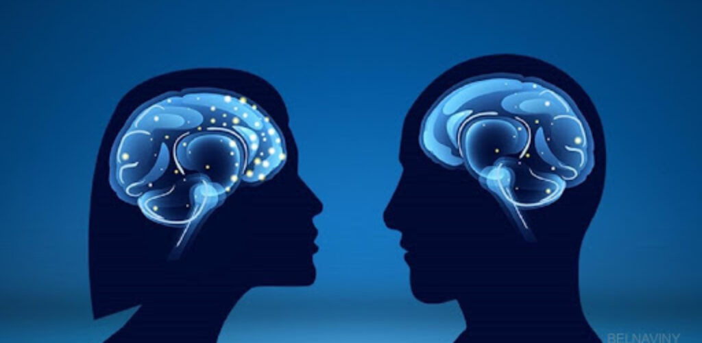 Мужской и женский мозг отличаются размером