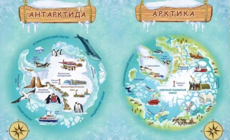 Почему в Арктике всегда теплее, чем в Антарктике