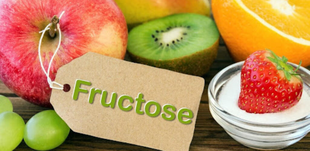 Как фруктоза заставляет толстеть