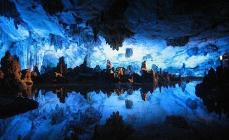 Звездное небо под землей: пещера светлячков
