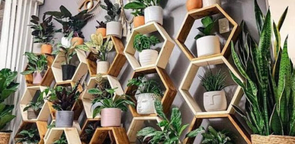 Топ-7 комнатных растений, которые вас удивят
