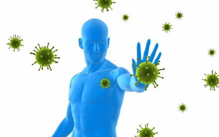 Оценка ученых: сколько длится естественный иммунитет у переболевших коронавирусом