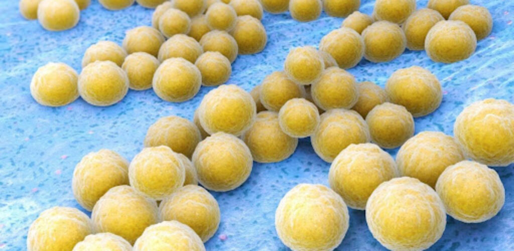 В теле человека обнаружены десятки ранее неизвестных соединений-антибиотиков