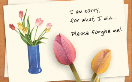 Как извиняться правильно