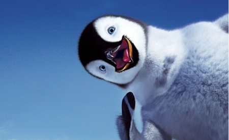 20 забавных фактов о пингвинах: жизнь в смокинге