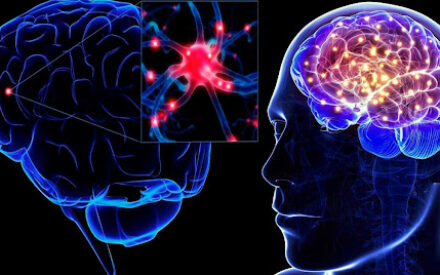 Личные качества влияют на здоровье мозга