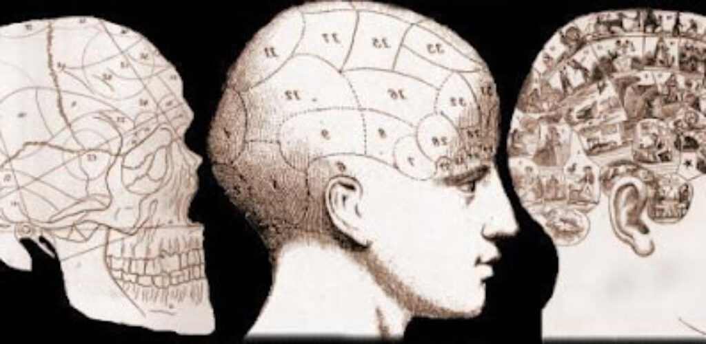 Что такое френология и правда ли по форме черепа можно определить способности человека