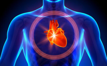 Можно ли разбить сердце? 9 удивительных фактов о важном органе