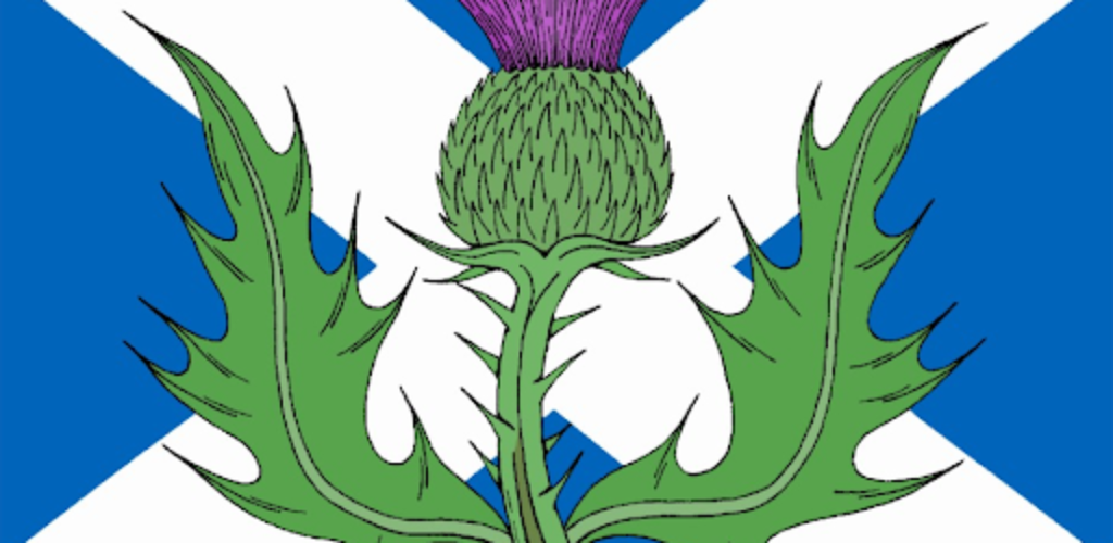 Почему сорняк чертополох стал символом Шотландии?