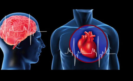 В чем разница между инсультом и сердечным приступом