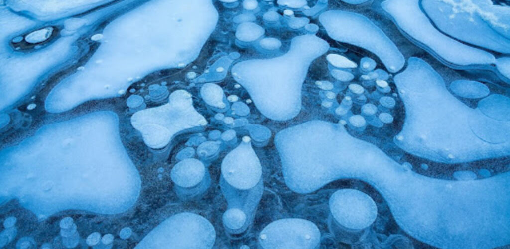 Гигантские вирусы заражают водоросли в одном из редчайших плавучих озер в Арктике