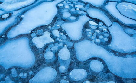 Гигантские вирусы заражают водоросли в одном из редчайших плавучих озер в Арктике