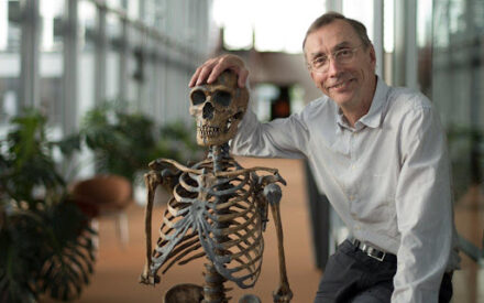 Главный мировой специалист по неандертальцам получил Нобелевскую премию: за что?