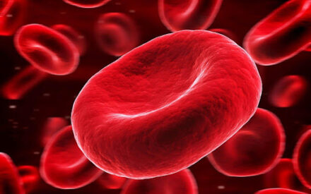 9 фактов о вашей крови: вы об этом даже не догадывались