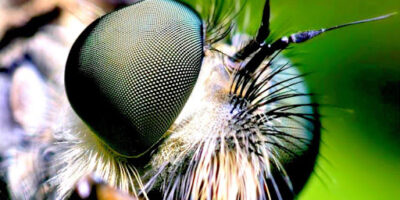 фото: https://i.ytimg.com/