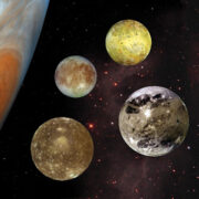 фото: https://rosegardening.org/