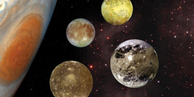 фото: https://rosegardening.org/ 