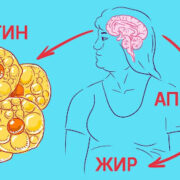 фото: https://dev.sovkusom.ru/