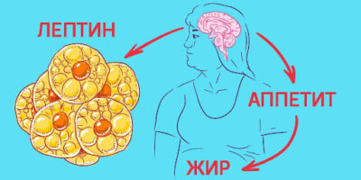 фото: https://dev.sovkusom.ru/ 