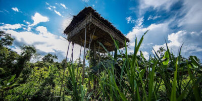 фото: https://cdn.setafi.com/ 