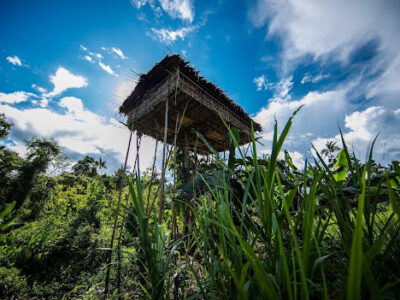фото: https://cdn.setafi.com/