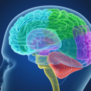 фото: https://medboli.ru/