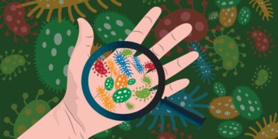 фото: https://nastroy.net/