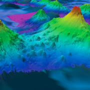 фото: https://www.science.org/