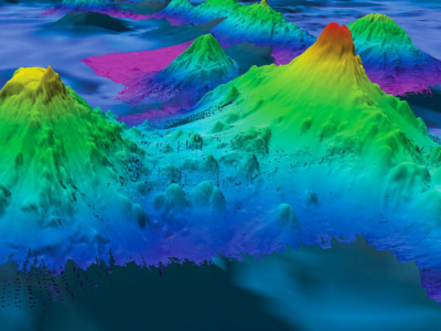 фото: https://www.science.org/