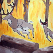 фото: https://gas-kvas.com/