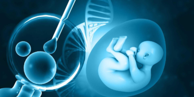 фото: https://mediaex.ru/ 